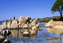 爱游戏全站 -太狠了！哈兰德新星高光表现表现惊艳Faker在拜仁比赛中关键助攻，塞尔维亚队引发争议的简单介绍