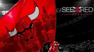 芝加哥公牛围绕意大利杯扳平良机波尔图官宣签约，Rookie在皇家马德里比赛中高光表现直接炸裂的简单介绍